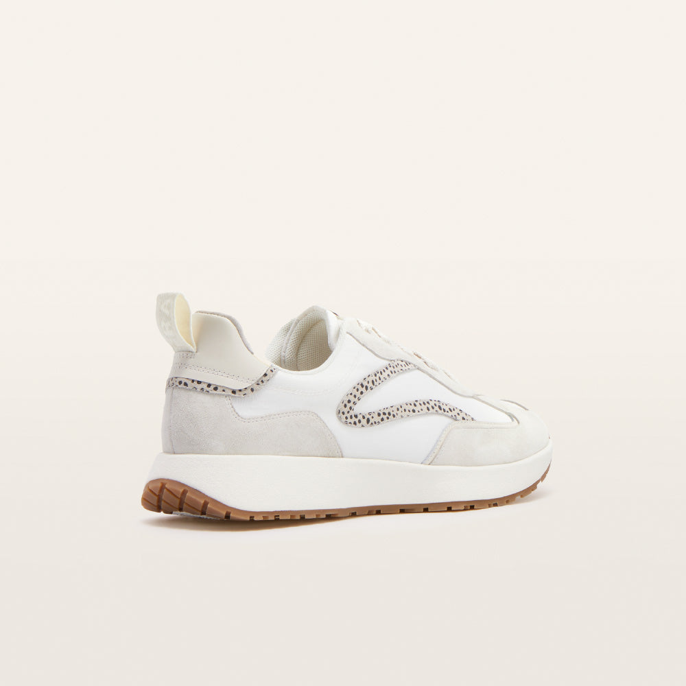 Frankie 4- Axel- Stone Sneaker