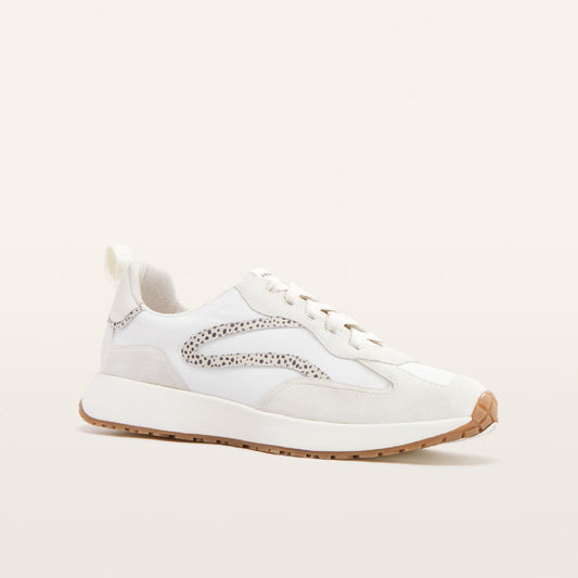 Frankie 4- Axel- Stone Sneaker