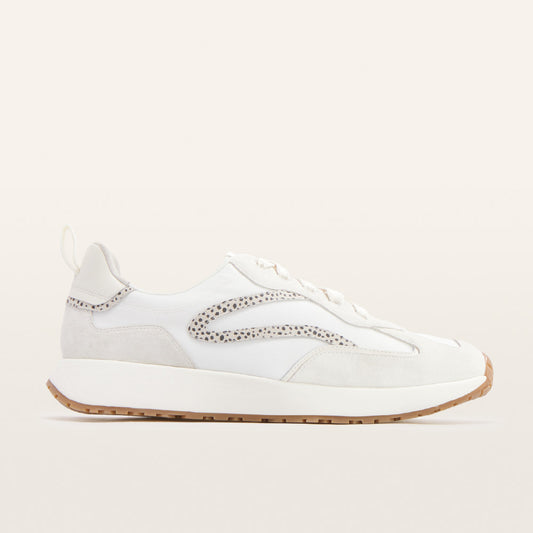 Frankie 4- Axel- Stone Sneaker